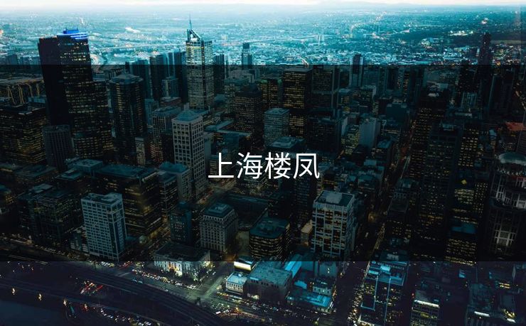 上海楼凤