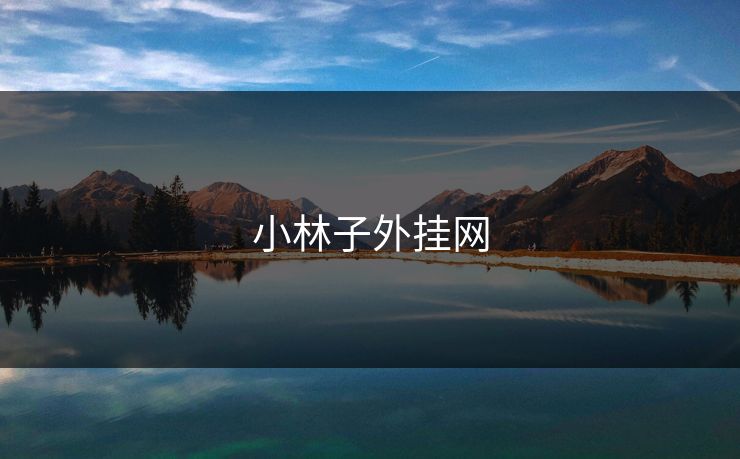 小林子外挂网