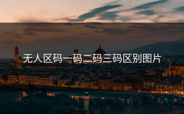 无人区码一码二码三码区别图片