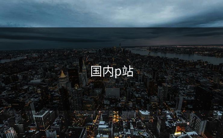国内p站