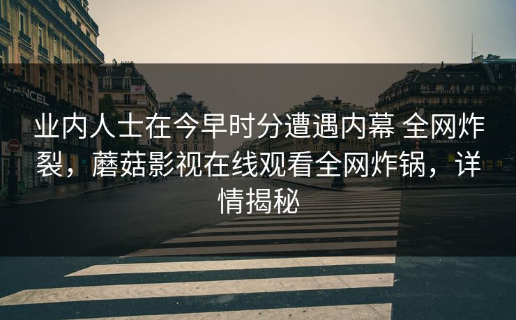 业内人士在今早时分遭遇内幕 全网炸裂，蘑菇影视在线观看全网炸锅，详情揭秘