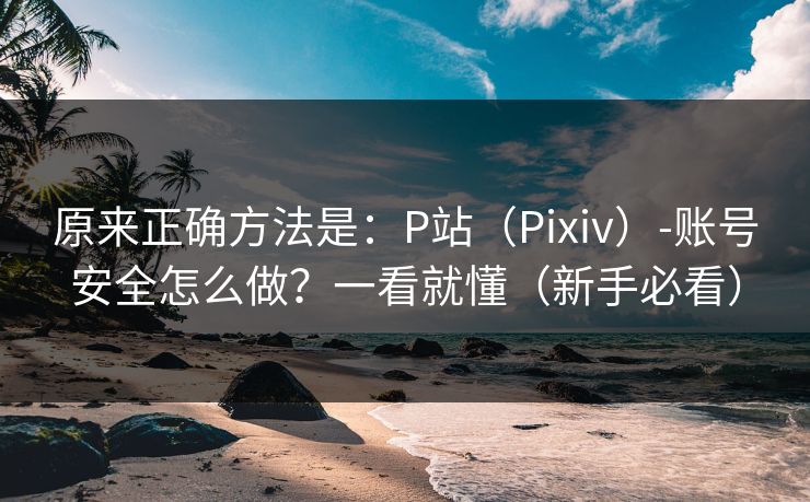 原来正确方法是：P站（Pixiv）-账号安全怎么做？一看就懂（新手必看）